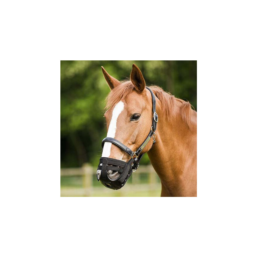 Norton Graasmasker
