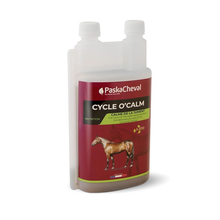 PaskaCheval Cycle o'calm