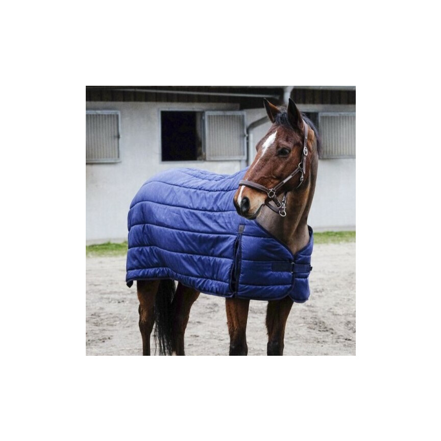 Equithème Under Rug Classic 50 G