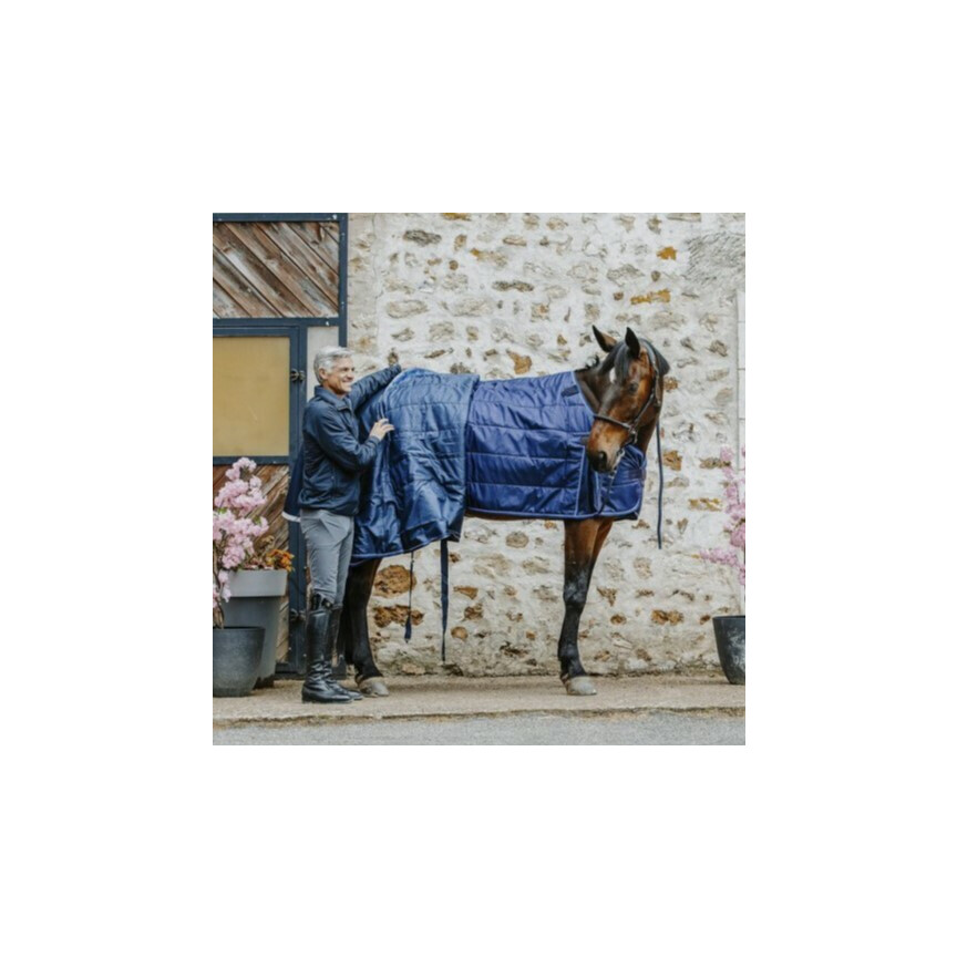 Equithème Under Rug Classic 300 G Back