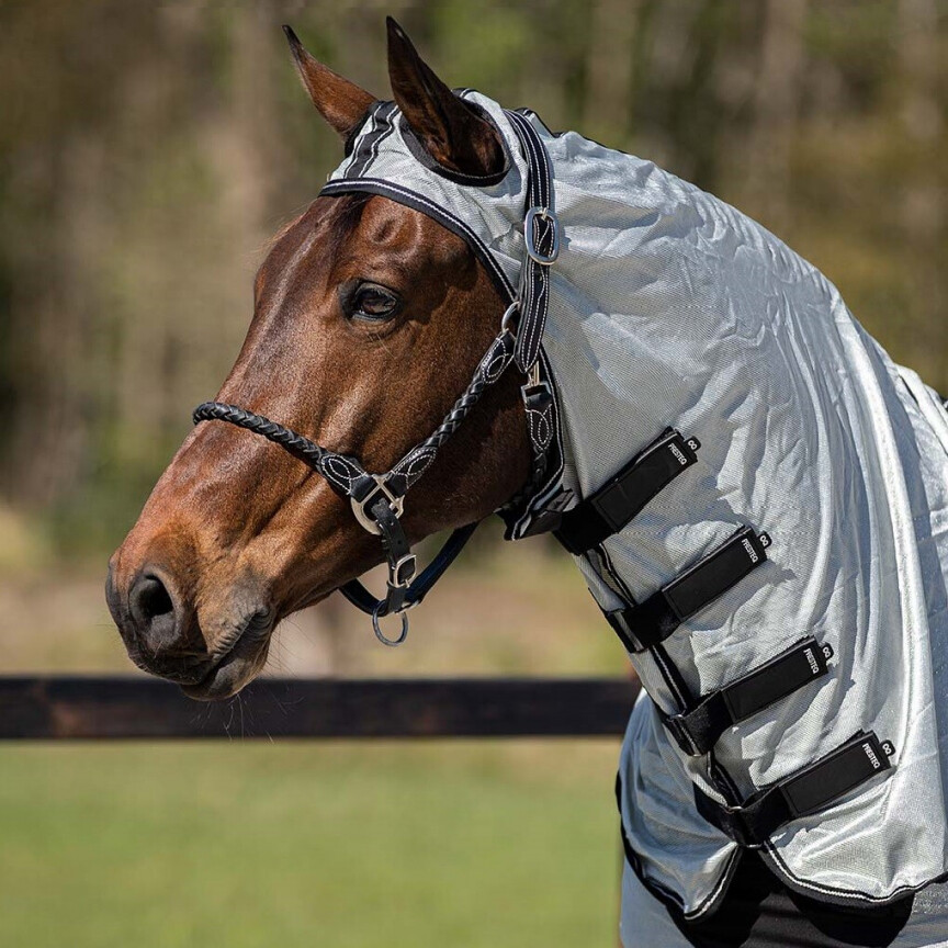 Presteq Vliegendeken Big Neck