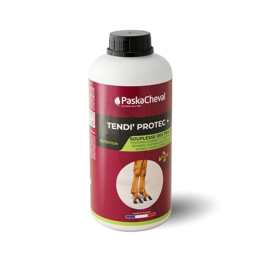 PaskaCheval Tendi'Protec