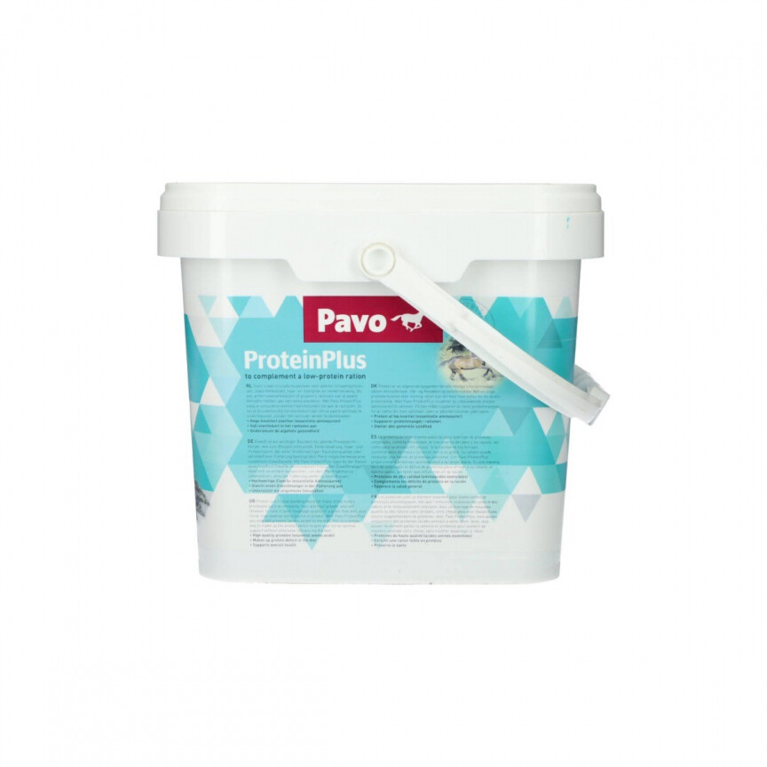 Pavo Proteinplus