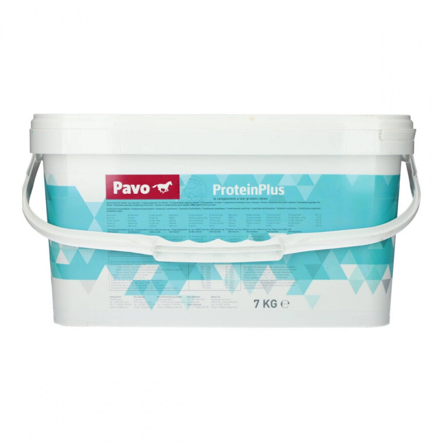 Pavo Proteinplus paard