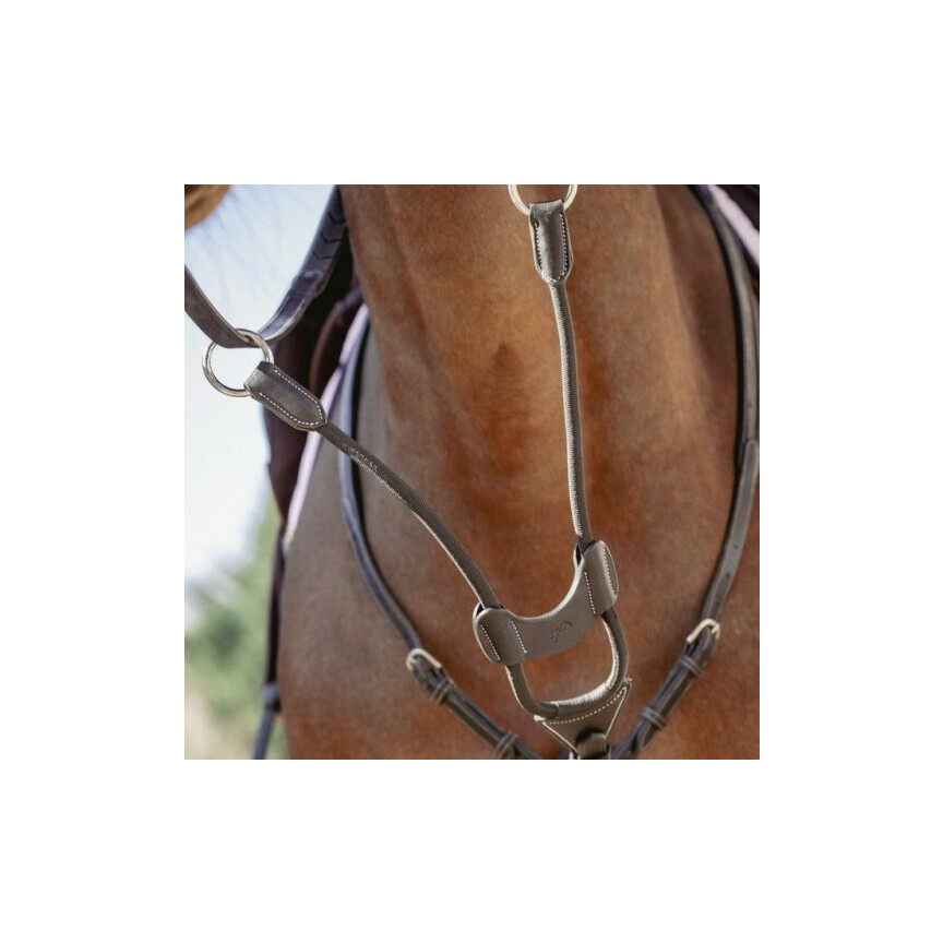 Penelope Martingale Fork Elastic Black