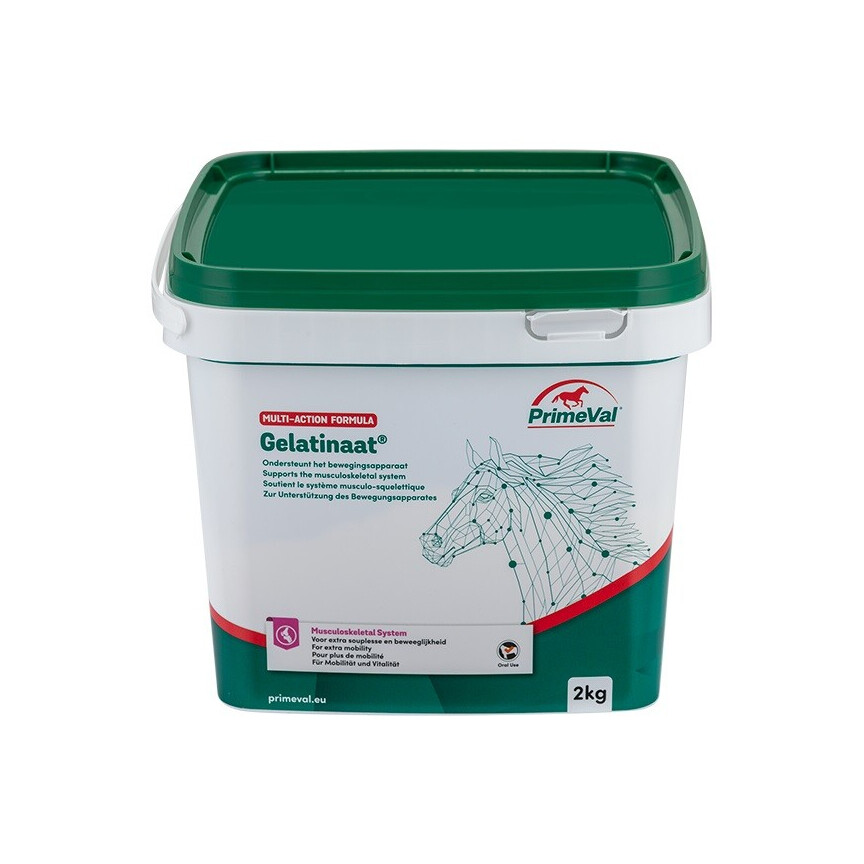 Primeval Gelatinaat
