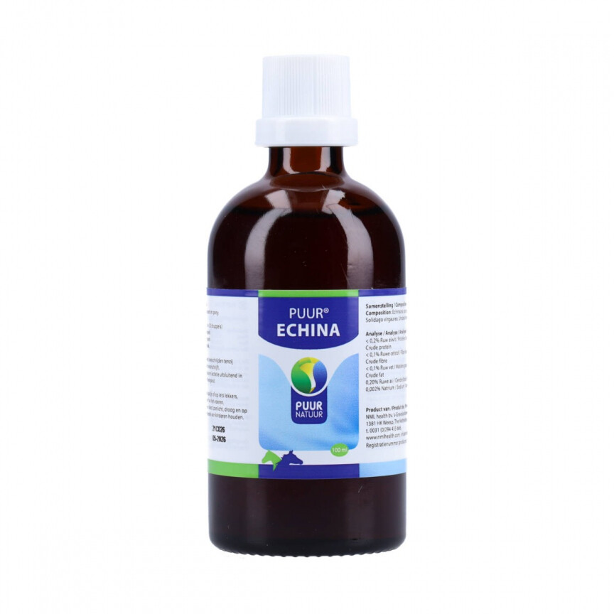 Puur Echina