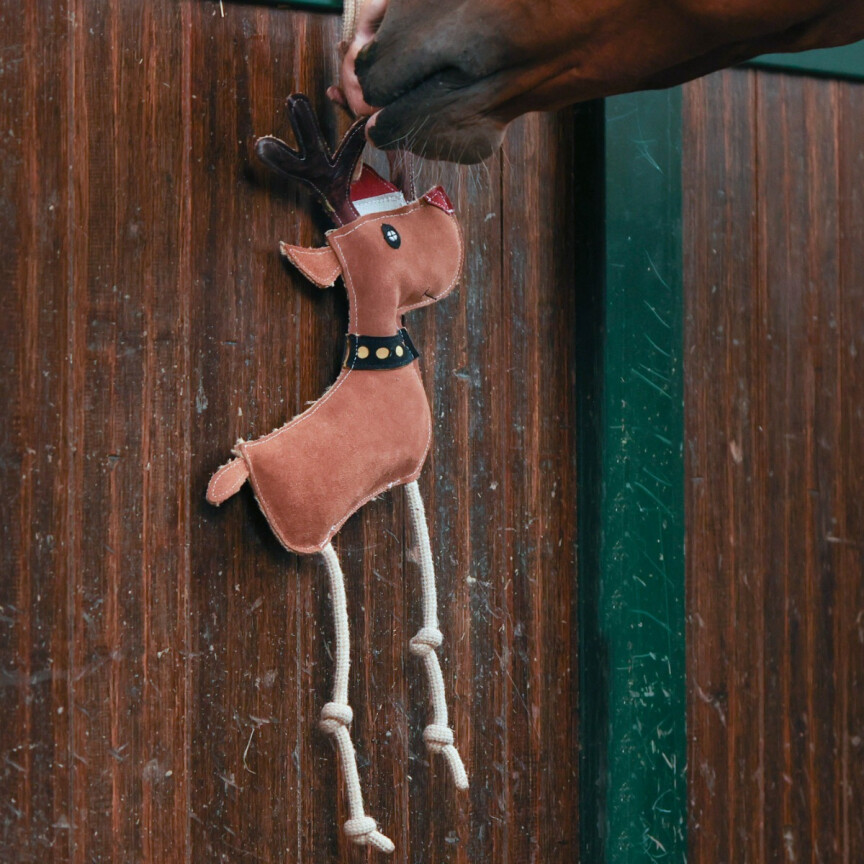 QHP Rudolf