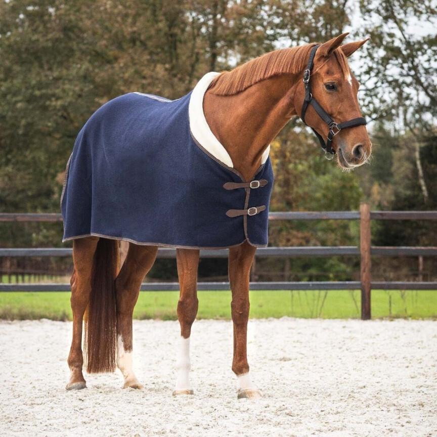 QHP Wool Rug Deluxe Navy Horse