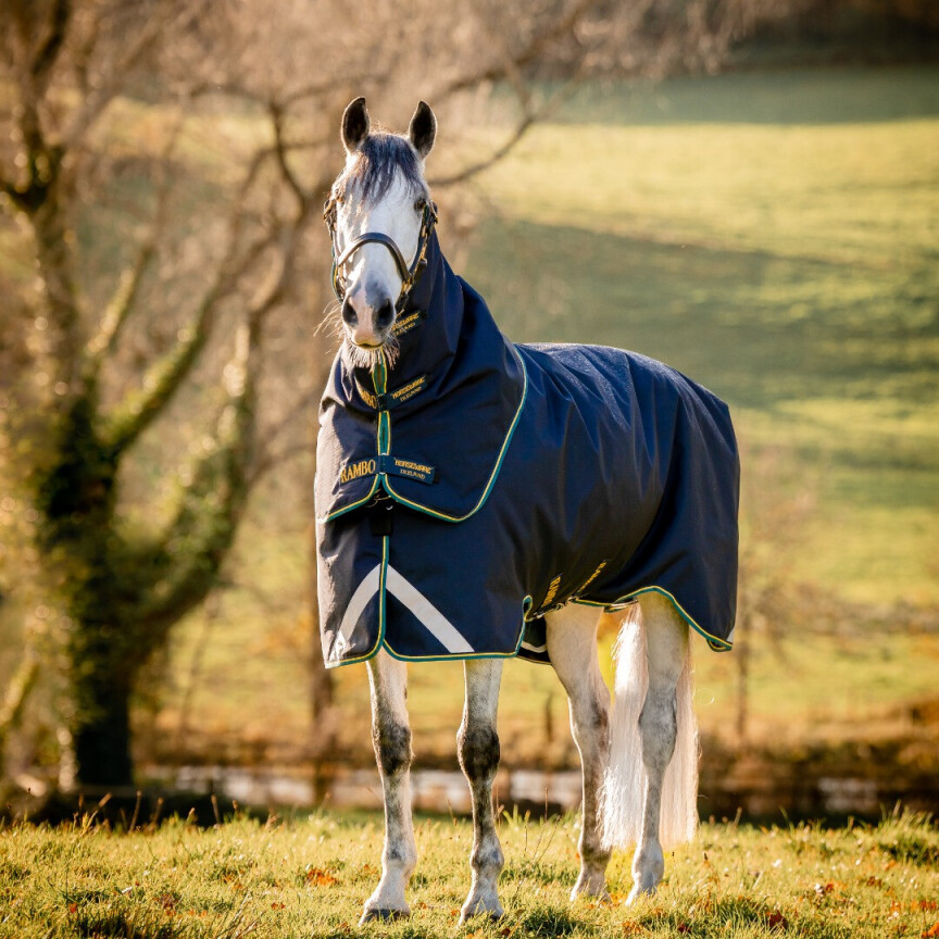 Rambo Turnout Duo Force 2.0 Navy/Teal