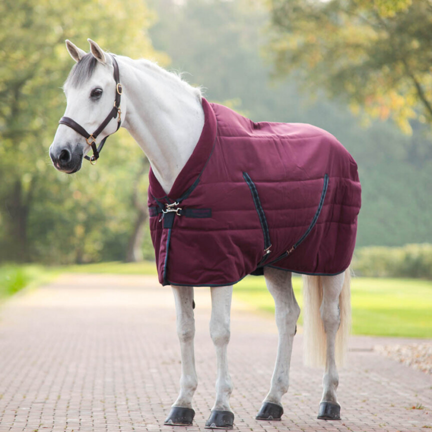 Rambo Cosy Staldeken Medium