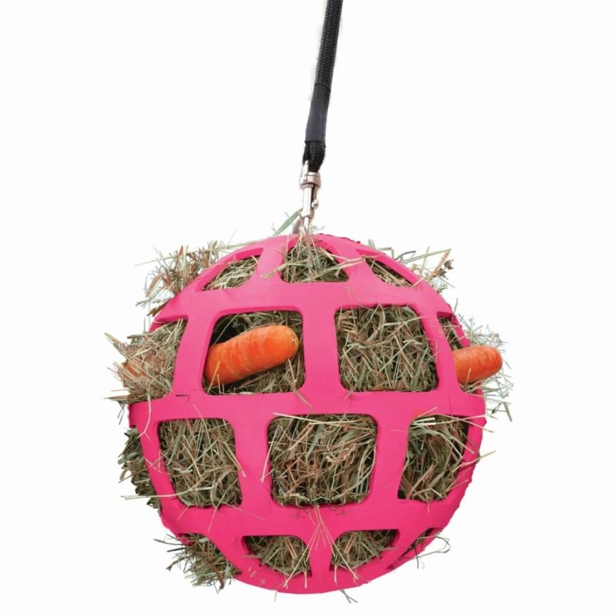 Excellent Slowfeeder Fun and Flex Roze
