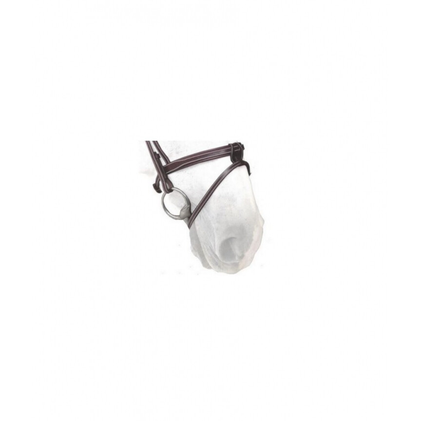 Silver crown flash noseband