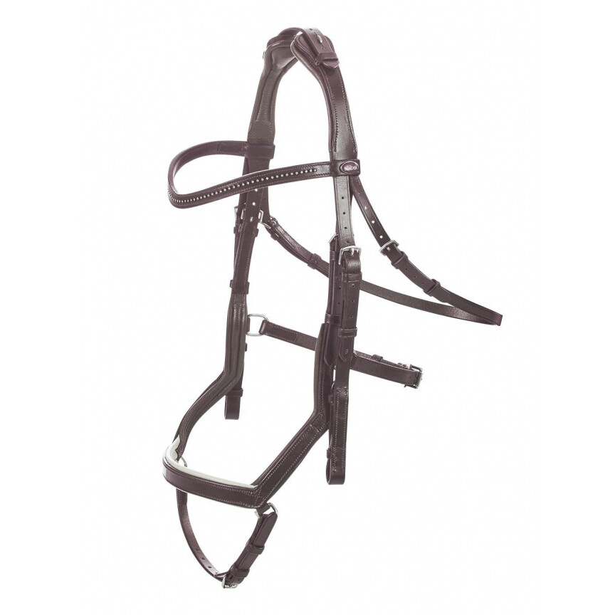 Busse bridle feeling