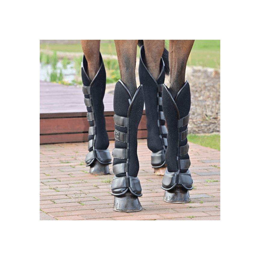 Busse Travel Boots Hind 3D Air Effect Horse