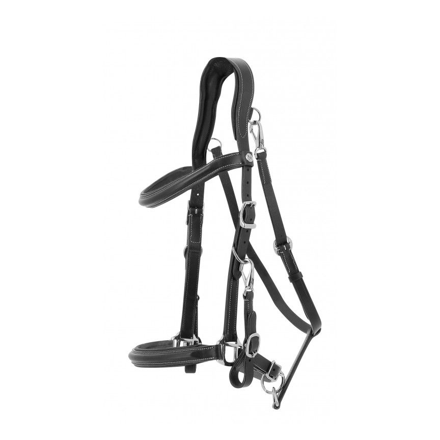 Norton Bridle Trekking Halter Black