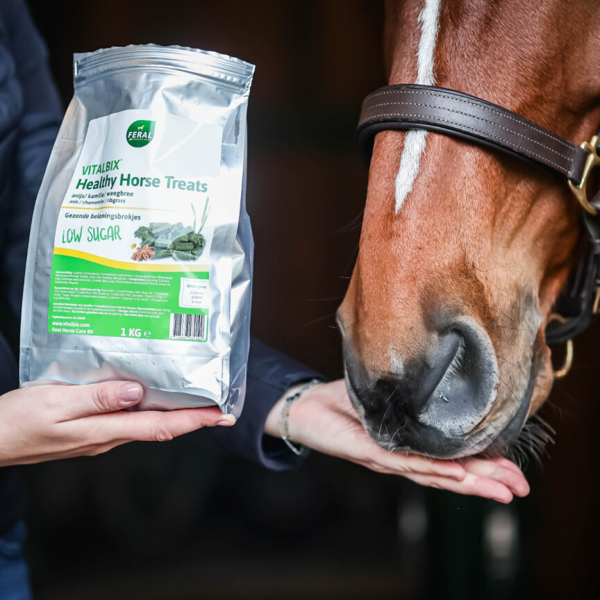 Vitalbix healthy horse treats