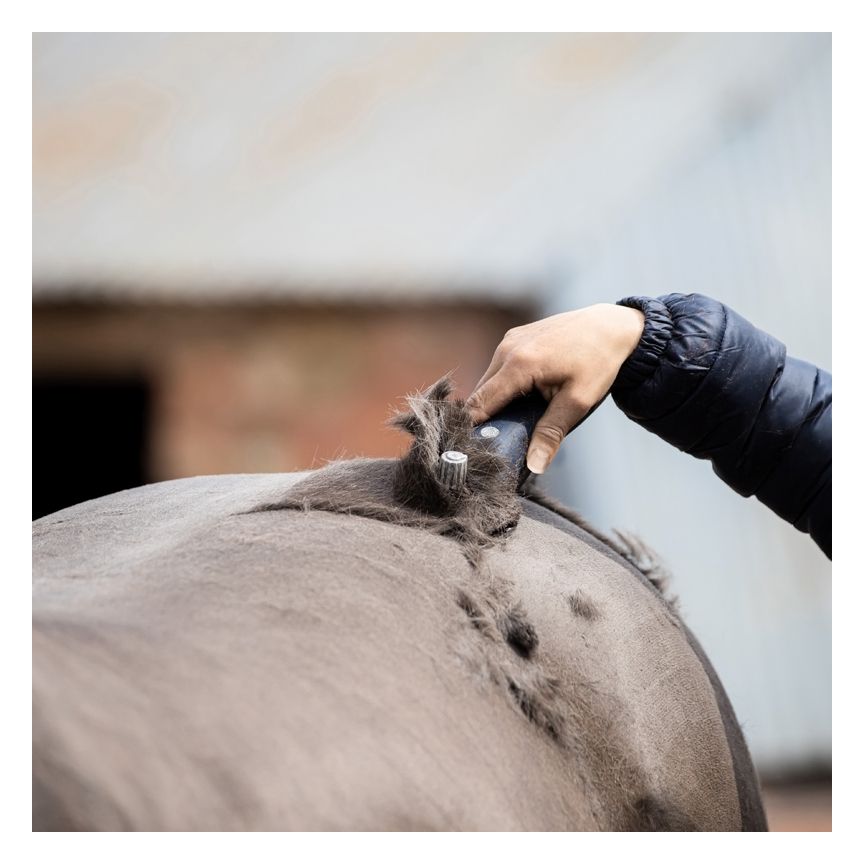 Wahl Clipper Eclipse Horse