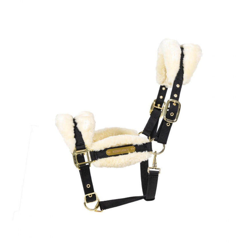 Licol nylon avec fourrure douce Kentucky