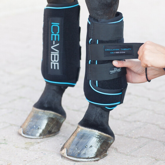 Genouillère Horseware Ice-Vibe Pour Cheval - Noire Avec Détails Bleus, Neuve