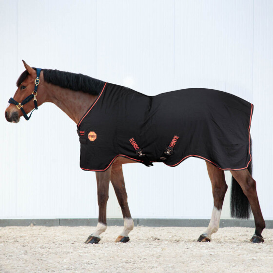 RAMBO IONIC COUVERTURE DocHorse