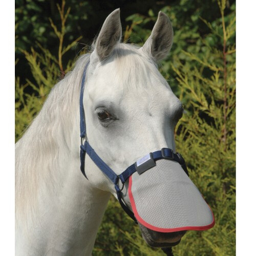 Protection de nez Equilibrium - Anti-UV pour chevaux à nez clairs