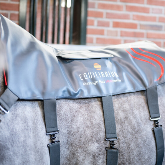 Equilibrium Heatsense Massage Pad DocHorse