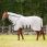 Couverture anti-mouches Dominick Fly Defender Pro