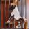Kentucky Relax Horse Toy Alvin