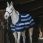 Equithème Fleece Rug Confortech