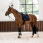 Tapis de selle dressage LeMieux Crystal