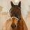 Kentucky Fly Mask Skin Friendly with Ears Black