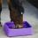 Hippotonic Feeder Guard-Dual Purple
