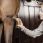 Grooming Deluxe borstel medium-hard thumbnail