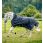 Rambo 1680D Wug Turnout 0g Navy/Hunter Green