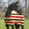 Polaire Rambo deluxe newmarket