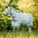 Horseware Newmarket Fly Sheet Plus Pony