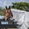 Horseware Amigo Bug Rug Hood thumbnail