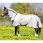 Couverture anti-mouche Amigo Mio PONEY
