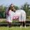 Bucas Buzz-Off X Full Neck Blue Blossom