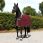 Bucas Show-Line Fleece Rug