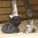 Busse Hoofbag
