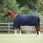 COUVERTURE DE PADDOCK 150 G DOMINICK 2023