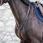 Dy'on Martingaal
