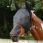 Masque anti-mouches Equilibrium Field Relief Max thumbnail