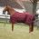 Equithème Turnout Rug 1200D Tyrex 150 G