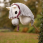 LeMieux Licol et longe Hobby Horse Vogue