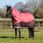 Lemieux Arika 600D Winter Rug 200G Alpine