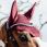 Bonnet Kentucky wellington thumbnail