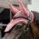 Kentucky Fly Rope Veil Wellington 3D Logo Fuchsia thumbnail
